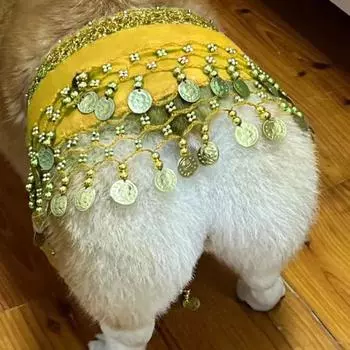 Костюм для танца живота для собак Yousheng, одежда для собак Corgi, поясная цепочка, занавеска с пайетками, сексуальный щенок, трясущийся на бедрах, шарф, юбка