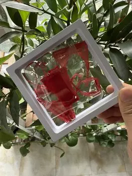 Костюм Фигурка Одежда Женщины Сексуальные кружева Сексуальные кружева Сексуальные Секс не Красный 1/6 1/6 Нижнее белье, Нижнее белье, Трусики, Трусики, Пижамы, Супер, Сб, (Тело, красный