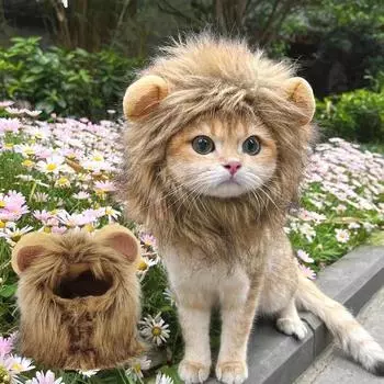 Костюм кошки, милый парик с гривой льва, шляпа для косплея, кепка, наряд для щенка, котенка, украшения для рождественской вечеринки на Хэллоуин S
