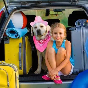 Костюм ковбоя для собак Yousheng, регулируемая пряжка, дышащая, удобная для ношения, шапка, бандана, шарф для маленьких, средних и больших собак розы красного