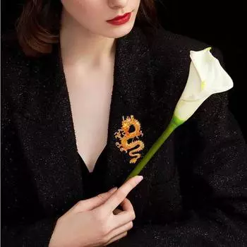 Костюм, рубашка, аксессуары, брошь в форме дракона, ретро, китайский стиль, булавки для процветания и богатства, унисекс