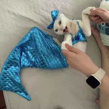 Костюм Русалки для питомца, наряд русалки, милый костюм в форме русалки, одежда с рыбьим хвостом, стильная одежда для кошек S розовый