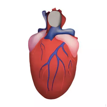 Костюм сердца, забавные костюмы для косплея на Хэллоуин для праздничных принадлежностей
