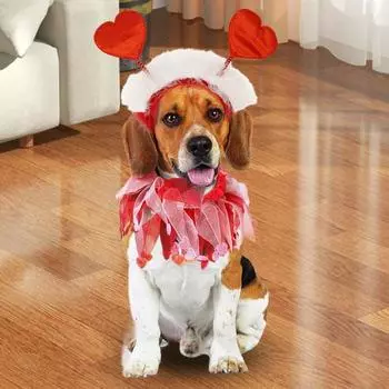 Костюм собаки на День святого Валентина, красная повязка на голову с сердечком и ошейником, праздничный день рождения