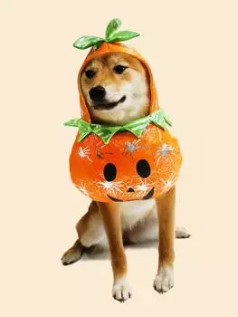 Костюм тыквы на Хэллоуин для собак и кошек, костюмы для косплея для домашних животных, теплые наряды для щенков с капюшоном, одежда для осени и зимы для животных S жёлтый