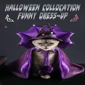 Костюм ведьмы в мультяшном стиле на Хэллоуин для питомца для девочки - Костюм ведьмы для кошки - Забавный костюм ведьмы для кошки - Наряд для маленькой собаки - Плащ и шляпа One Size