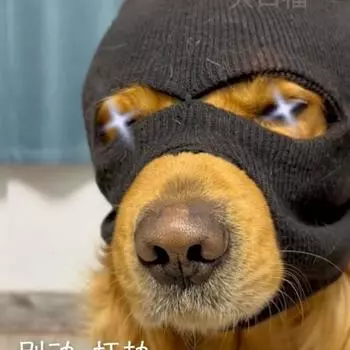 Костюмы для собак для больших собак, лыжная маска, шапки для собак, шлем для собак, нарядный костюм, аксессуары для косплея, принадлежности для домашних животных чёрный