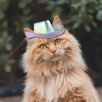 Ковбойская шляпа для домашних животных для маленьких собак и кошек, кепка для косплея, пляжная шляпа с козырьком, костюм щенка синий