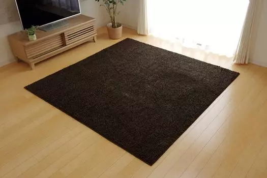 Ковер Ikehiko полотняного переплетения Champs Elysees Brown Примерно 190 x 240 см запах пылевой клещ пламя сделано в Японии Антибактериальный, устойчивый, стойкий, коричневый