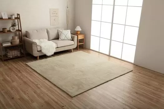 Ковер Ikehiko, прямоугольный коврик Lapias молочно-бежевого цвета, 95 x 185 см, простой, однотонный, мягкий, пушистый, мягкий на ощупь, женский, приблизительный размер. #3987889