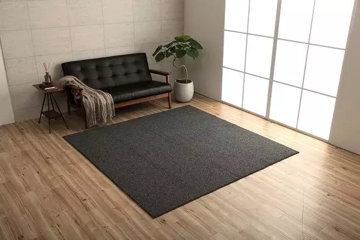 Ковер Ikehiko Rug Carpet Clade 190 x 290 см, черный, простой, 4 татами, большой прямоугольник, антибактериальный и устойчивый к запахам, оверлок с петлями, приблизительный размер. приблизительно. #3985999