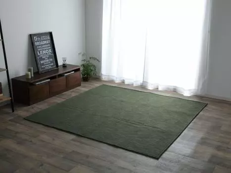 Ковер Ikehiko Rug, коврик для комнаты, 1 татами, жаккардовый, зеленый, 90 x 185 см, ковер, прибл.. (Совместимость с горячим) #9831309