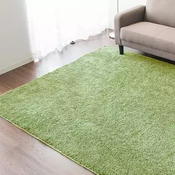 Ковер Iris Plaza Rug для всех сезонов, совместимый с подогревом пола, зеленый, 185 x 185, нескользящий, SYGR-S-1818