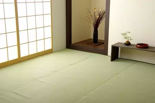 Ковер из полипропилена Ikehiko PP Сделано в Outdoor Outdoor Japanese 6 татами 261 x 352 261 x 352 Сделано в Устойчив к плесени и клещам Прочный Отлично подходит для