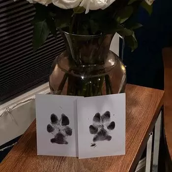 Коврик для отпечатка лапы собаки кошки, отпечаток носа питомца, отпечаток руки, сделай сам, индивидуальный подарок, безопасный нетоксичный, чихуахуа, шнауцер, мопс, аксессуары чёрный