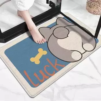 Коврик для пола с рисунком для дома, коврик для входной двери в туалет, ванная комната, впитывающий коврик из искусственного кашемира, коврик для входной двери 40x60cm