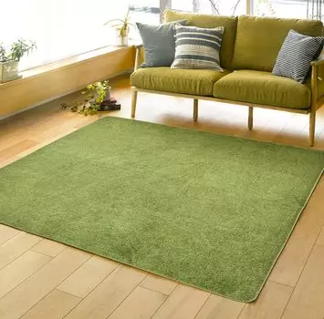 Коврик Hagiwara Lawn Rug Sheeva 185 x 240 см 240622920 Зеленый Прибл.