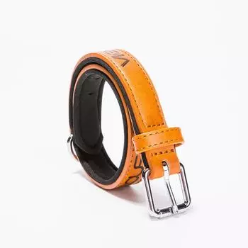 Кожаный ошейник для собак из искусственной кожи, водонепроницаемый ошейник для собак с защитой от длины, ошейник для домашних животных с напечатанными буквами 1.5*25-32CM