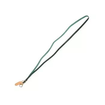 Кожаный ремешок унисекс зеленый зеленый [IL BISONTE] женский мужской зелёный