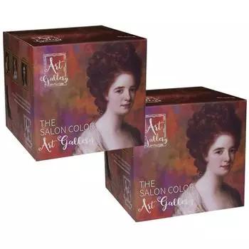 Краситель Art Gallery The Salon Color, Art Wine Brown, 2 шт.