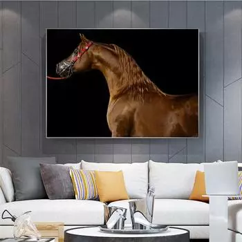 Красивая арабская лошадь, холст, картина, настенное искусство, плакаты с лошадьми и принты, изображение животного, украшение для гостиной, дома, Куадрос 21cm30cm NoFrame