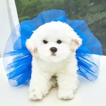 Красивая мягкая юбка с плиссированным краем для домашних животных, летняя одежда для котят, наряды для собак для вечеринки S разноцветный