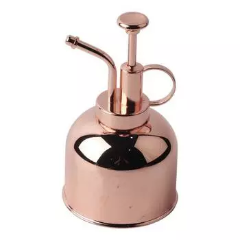 Красивая ручная лейка для распыления воды в горшке, бутылка для комнатных растений, аксессуар для комнатных растений Misters