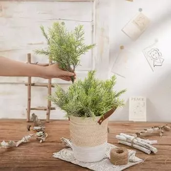 Красивое искусственное растение без полива, яркий макет сцены зелёный