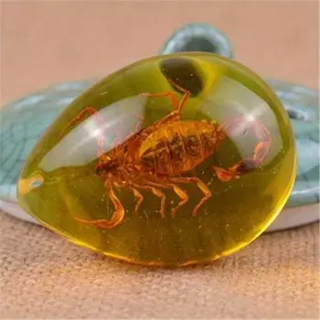 Красивые янтарные насекомые, камень, кулон, ожерелье, драгоценный камень для ювелирных изделий своими руками, кулон, ремесла Scorpion