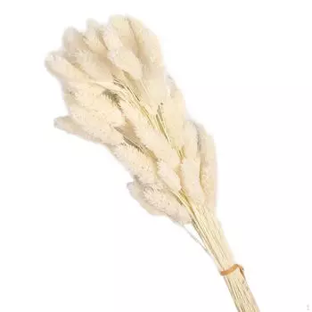 Красивый букет из сухоцветов для украшения особого случая White