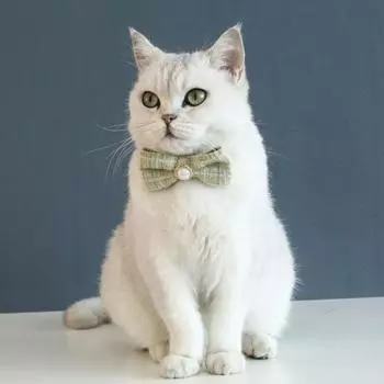 Красивый регулируемый размер винтажный круг для шеи питомца универсальный ошейник для кошек для ежедневного общения S белый