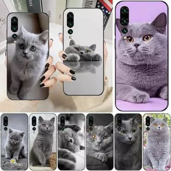 Красивый серый чехол для телефона с британской короткошерстной кошкой для Huawei P50 P40 P30 Pro Lite P Smart 2021 2019 Magic 3, мягкий черный чехол для телефона Huawei P50