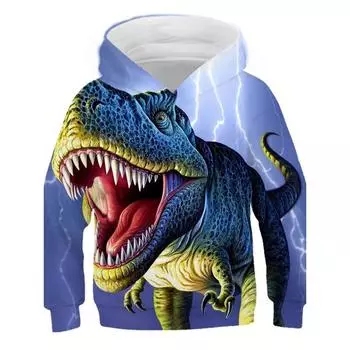 Красивый свитшот с капюшоном с принтом «Мир динозавров», Детская весенне-осенняя молодежная толстовка с принтом дракона, топ для детей 4–14 лет 100