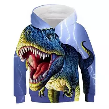 Красивый свитшот с капюшоном с принтом «Мир динозавров», Детская весенне-осенняя молодежная толстовка с принтом дракона, топ для детей 4–14 лет 100CM