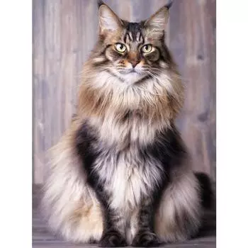 Краска с алмазной вышивкой Алмазная картина Полная квадратная круглая картина Декор из горного хрусталя Full Round 20X30CM