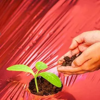 Красная мульчирующая садовая пластиковая пленка, толстая сельскохозяйственная пленка для выращивания растений, мульчирующая пленка для картофеля, помидоров, клубники, баклажанов красный