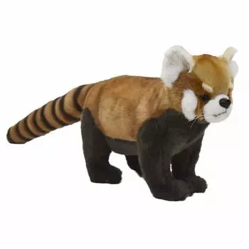 Красная Панда 67 №6309