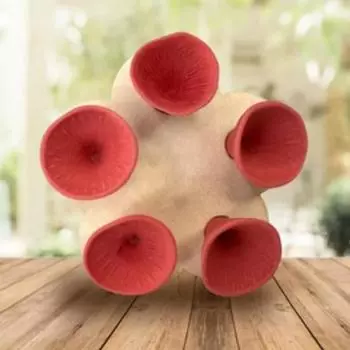 Красочная чашка для питья пчелиных насекомых. Универсальное размещение. Простые в использовании многоразовые жаждущие опылители. Питьевой фонтанчик. Чашки для кормления птиц.