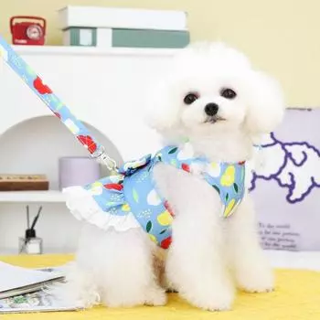 Красочное кружевное платье с круглым вырезом для домашних животных и аксессуарами для тяговой петли S розовый