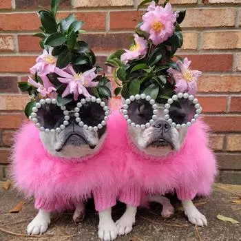 Красочные очки для домашних животных, солнцезащитные очки для щенков, дизайнерские очки для собак, роскошные очки для маленьких собак и кошек, шнауцер, йоркский пудель, очки из меховой пряжи с сердечником S