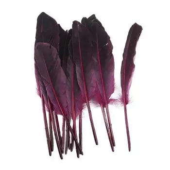 Красочные перья и гусиные перья, сделай сам, ювелирные изделия, гусиное перо, декоративный материал длиной около 22-28 см 10PCS зелёный
