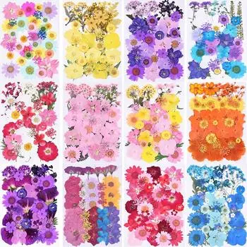 Красочные сушеные прессованные цветы для смолы, настоящие прессованные цветы, сухие листья, набор натуральных трав для скрапбукинга, художественные поделки своими руками, свечи 35pcs Red