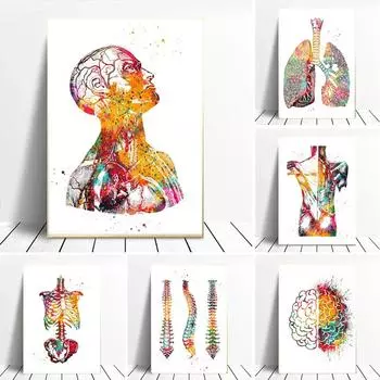 Красочный плакат с анатомией человека, работа, медицинская настенная картина, внутренности, мышцы, скелет, печать на холсте, живопись, декор для больницы и клиники 21x30 No Frame