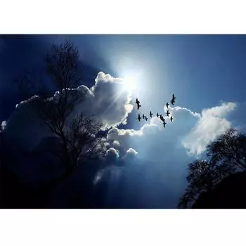 Красота пейзажа Алмазная вышивка «сделай сам» Картина вышивка крестом Алмазная мозаика Ремесло Спальня Домашний декор 20X30CM