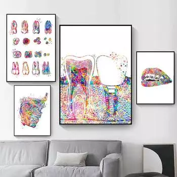 Креативные зубы Акварельная живопись Анатомия зубов Художественные постеры Печать Современная живопись Настенные картины для больниц Подарки стоматологам 21x30cm No Framed