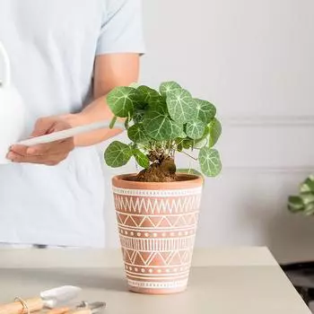 Креативный цветочный горшок с геометрическим узором, горшок для суккулентов, керамический горшок для цветов, домашний декор, настольный орнамент, садовые принадлежности, горшок для растений бонсай No.1