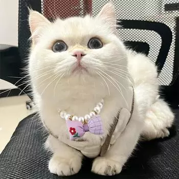 Креативный ошейник для кошек и собак с имитацией жемчуга, ожерелье для домашних животных с бантом, регулируемое ожерелье для щенков и котят, товары для животных