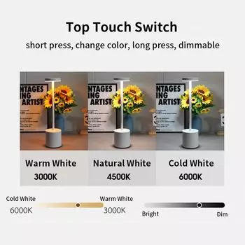 Креативный сенсорный светодиодный настольный светильник с USB-перезаряжаемым ночником, 3 цвета, регулируемая температура, настольная лампа для украшения бара отеля белый