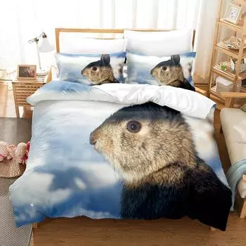 Кролик, серия Трехсекционная кровать, Двуспальная простыня, Комплект пододеяльника Можно сформулировать UK Single 135 * 200cm two-piece set (90g)