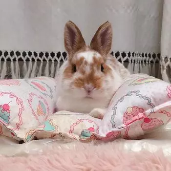 Кролик Шиншилла Кровать Коврик Дом Гнездо Хомячок Аксессуары Мелкое животное Морская свинка Кровать Домик Хомяка Зимнее Тепло Белка Ежик